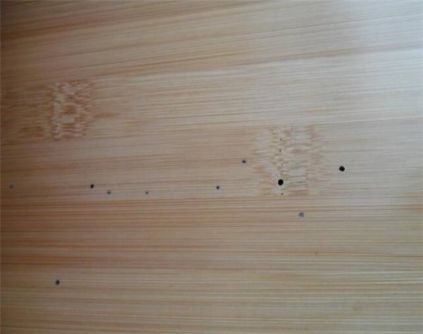 木地板出现出现虫子怎么解决？
